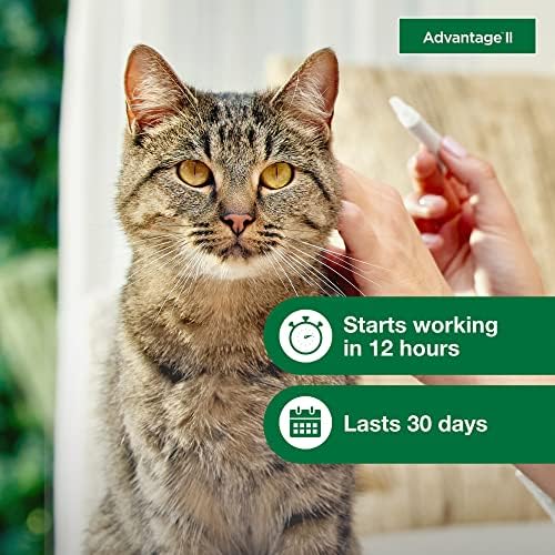 יתרון השני וטרינר חתול גדול-טיפול פשפשים מומלץ & מגבר; מניעה | חתולים מעל קילו. / אספקה של 8 חודשים